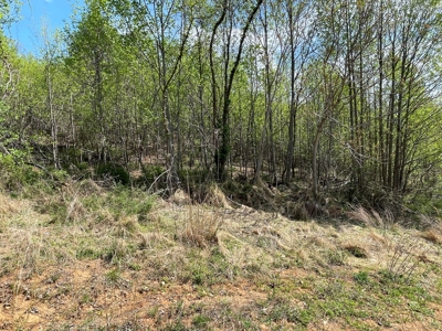 Wooded Property for Sale in Bedford County VA - image 7