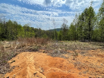 Wooded Property for Sale in Bedford County VA - image 2
