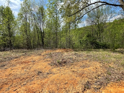 Wooded Property for Sale in Bedford County VA - image 3