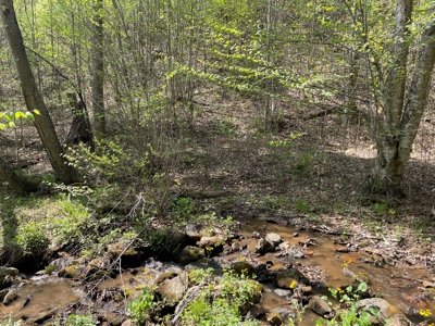 Wooded Property for Sale in Bedford County VA - image 10
