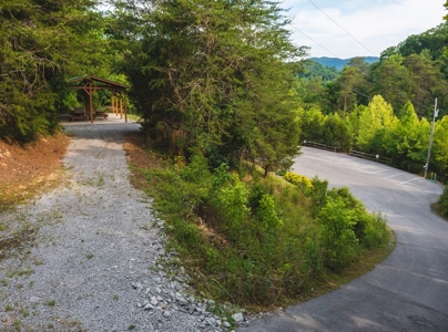 Claiborne County TN-Lake Access Lot for Sale- New Tazewell - image 3