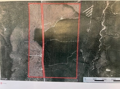 Land For Sale in Jackson County, Florida - image 1