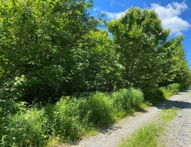 Undeveloped Coastal Land For Sale | Maine Real Estate - image 4