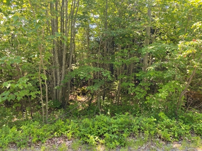 Undeveloped Coastal Land For Sale | Maine Real Estate - image 3