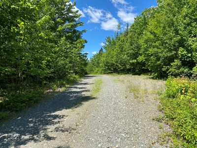 Undeveloped Coastal Land For Sale | Maine Real Estate - image 1