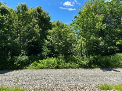 Undeveloped Coastal Land For Sale | Maine Real Estate - image 2
