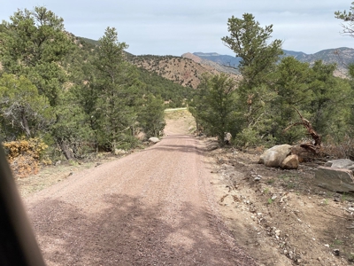GORGEOUS 40 Acre Lot for Sale near Arkansas River - image 16