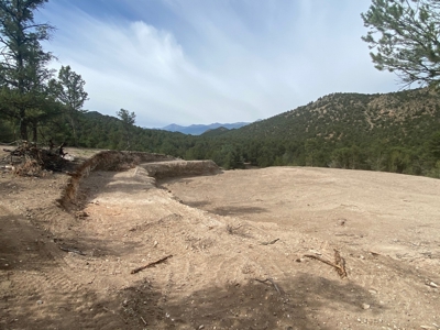 GORGEOUS 40 Acre Lot for Sale near Arkansas River - image 10