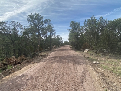 GORGEOUS 40 Acre Lot for Sale near Arkansas River - image 3