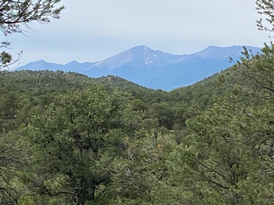 GORGEOUS 40 Acre Lot for Sale near Arkansas River - image 23