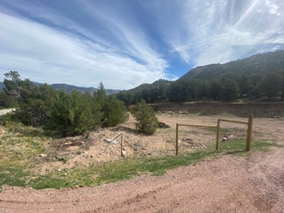 GORGEOUS 40 Acre Lot for Sale near Arkansas River - image 4