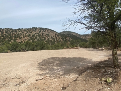 GORGEOUS 40 Acre Lot for Sale near Arkansas River - image 7