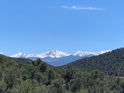 GORGEOUS 40 Acre Lot for Sale near Arkansas River - image 14
