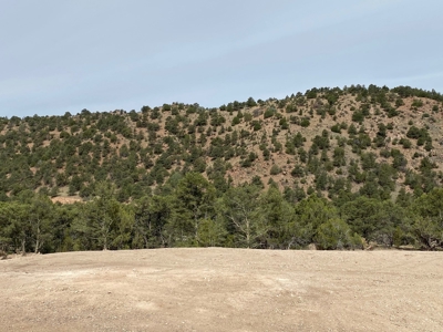 GORGEOUS 40 Acre Lot for Sale near Arkansas River - image 13