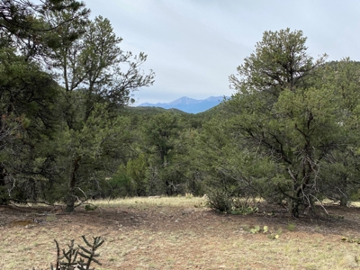 GORGEOUS 40 Acre Lot for Sale near Arkansas River - image 21