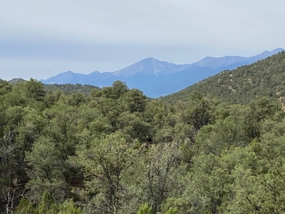 GORGEOUS 40 Acre Lot for Sale near Arkansas River - image 22