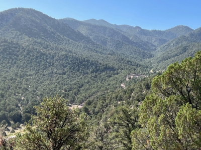 GORGEOUS 40 Acre Lot for Sale near Arkansas River - image 17