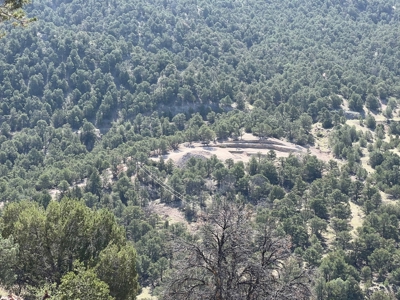 GORGEOUS 40 Acre Lot for Sale near Arkansas River - image 19