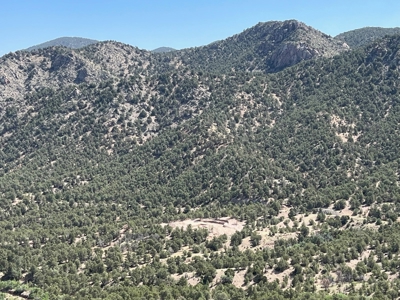 GORGEOUS 40 Acre Lot for Sale near Arkansas River - image 20