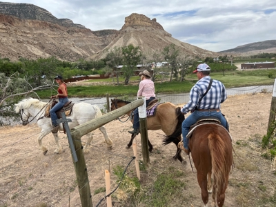 Western Colorado horseback riding business for sale - image 13