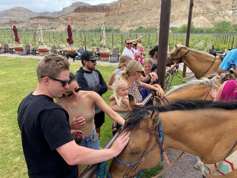 guests enjoying Palisade horses on dude ride