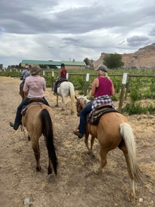 Western Colorado horseback riding business for sale - image 15