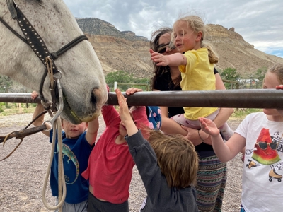Western Colorado horseback riding business for sale - image 9