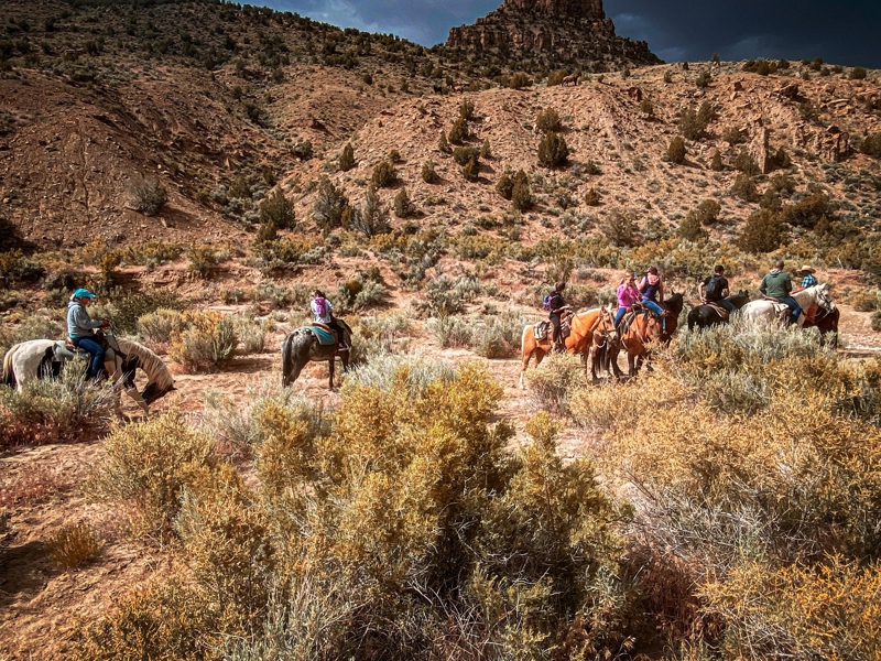 riders in Colorado desert business for sale