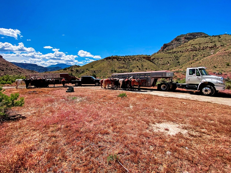 good equipment on CO horseback riding business