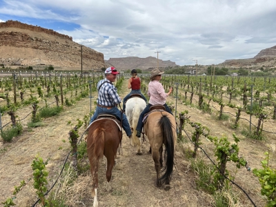 Western Colorado horseback riding business for sale - image 14