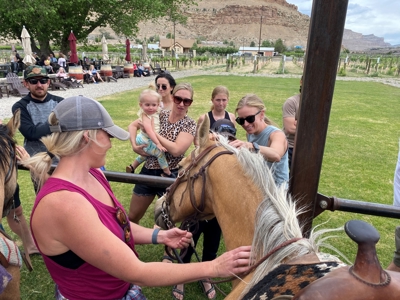 Western Colorado horseback riding business for sale - image 5