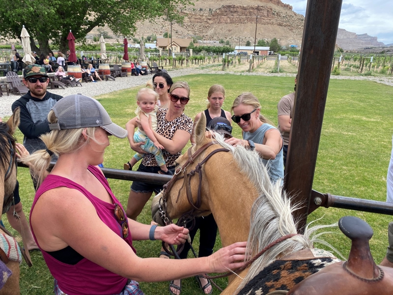 wine country horseback riding business