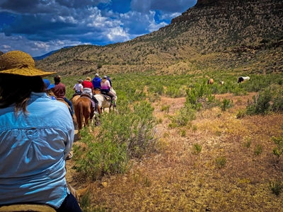 Western Colorado horseback riding business for sale - image 3