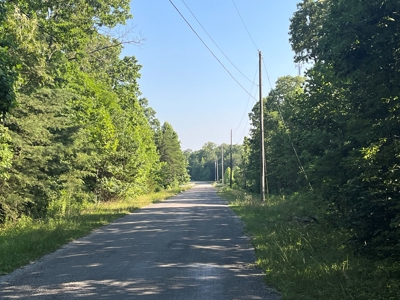 Peaceful 21.84 +- acres for sale on the Cumberland Plateau - image 3