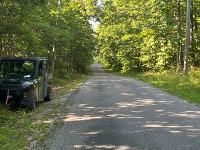 Peaceful 21.84 +- acres for sale on the Cumberland Plateau - image 4