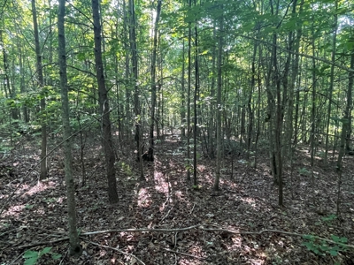 Peaceful 21.84 +- acres for sale on the Cumberland Plateau - image 9