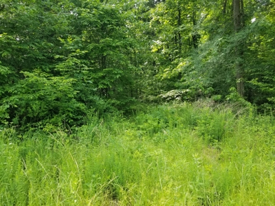 Sold! 10 Tn Ac Beechview Semi Private Boat Ramp Near - image 2