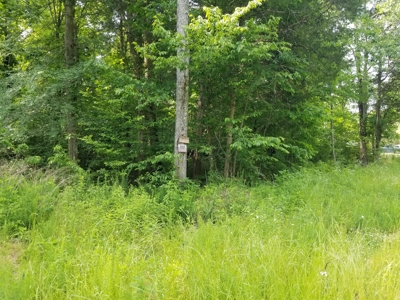 Sold! 10 Tn Ac Beechview Semi Private Boat Ramp Near - image 3