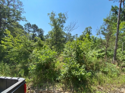 Off Grid Cabin For sale -Robbers Cave Park- Wilburton,OK - image 19