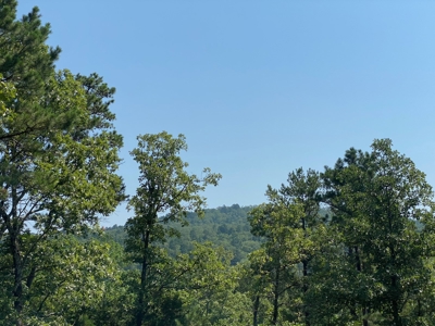 Off Grid Cabin For sale -Robbers Cave Park- Wilburton,OK - image 21
