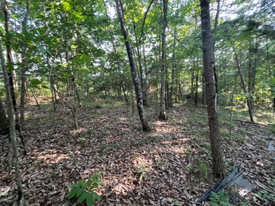 Peaceful 21.52 +- acres for sale on the Cumberland Plateau - image 6