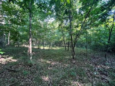 Peaceful 21.52 +- acres for sale on the Cumberland Plateau - image 1