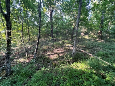 Peaceful 21.52 +- acres for sale on the Cumberland Plateau - image 9