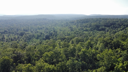 Peaceful 21.52 +- acres for sale on the Cumberland Plateau - image 19