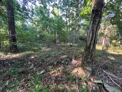 Peaceful 21.52 +- acres for sale on the Cumberland Plateau - image 8