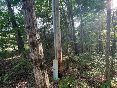 Peaceful 21.52 +- acres for sale on the Cumberland Plateau - image 11