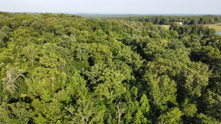 Peaceful 21.52 +- acres for sale on the Cumberland Plateau - image 17