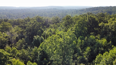 Peaceful 21.52 +- acres for sale on the Cumberland Plateau - image 15