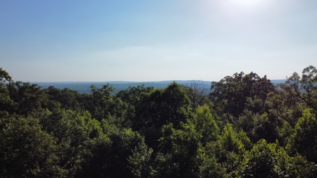 Peaceful 21.52 +- acres for sale on the Cumberland Plateau - image 14