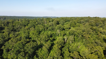 Peaceful 21.2 +- acres for sale on the Cumberland Plateau - image 19